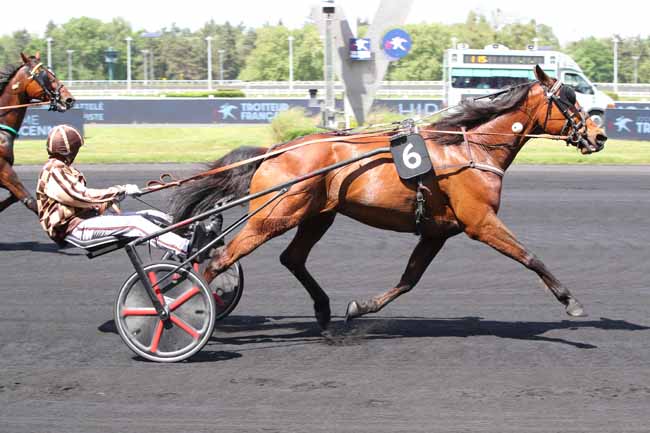 Photo d'arrivée de la course pmu PRIX DE CHATEAU-DU-LOIR à PARIS-VINCENNES le Samedi 3 mai 2025