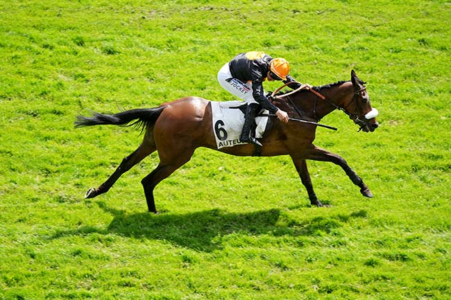 Photo d'arrivée de la course pmu PRIX D'ARLES à AUTEUIL le Samedi 3 mai 2025