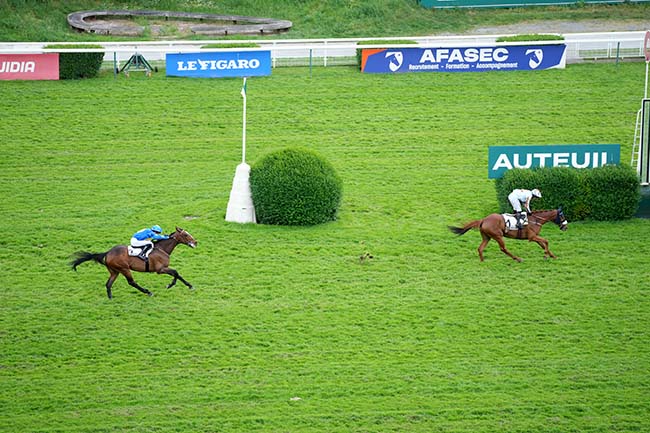 Photo d'arrivée de la course pmu PRIX ANDREA à AUTEUIL le Samedi 3 mai 2025