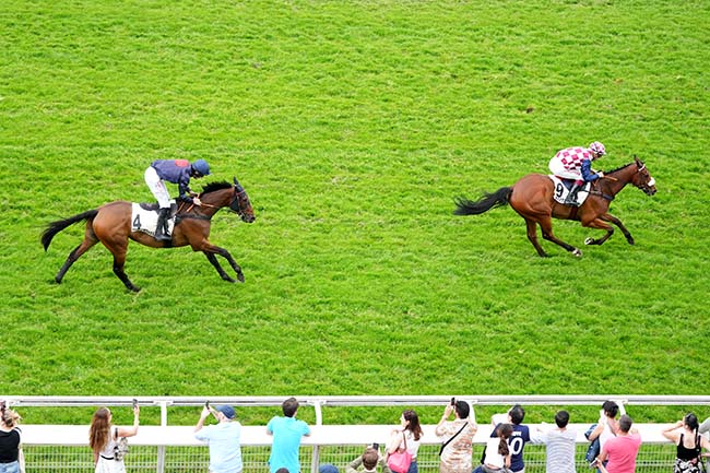 Photo d'arrivée de la course pmu PRIX QUOMODO à AUTEUIL le Samedi 3 mai 2025