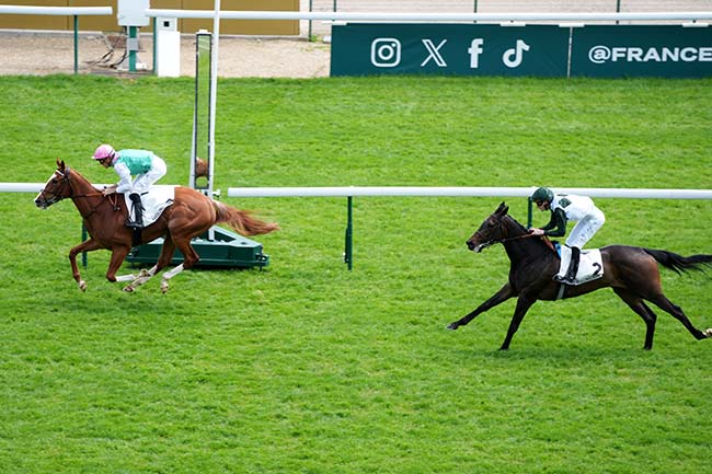 Photo d'arrivée de la course pmu PRIX DE LA SEINE à LONGCHAMP le Dimanche 4 mai 2025