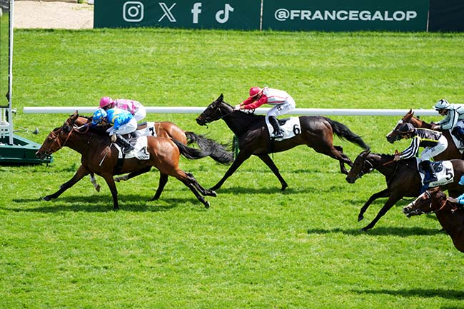 Photo d'arrivée de la course pmu PRIX DE L'HOTEL DE VILLE à LONGCHAMP le Dimanche 4 mai 2025