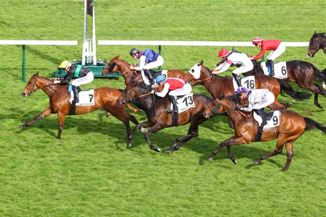 Photo d'arrivée de la course pmu PRIX DE LA ROQUETTE à LONGCHAMP le Dimanche 4 mai 2025