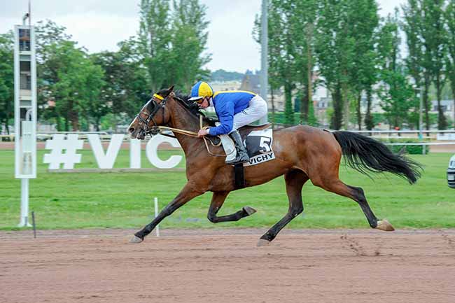 Photo d'arrivée de la course pmu PRIX DU DONJON à VICHY le Lundi 5 mai 2025