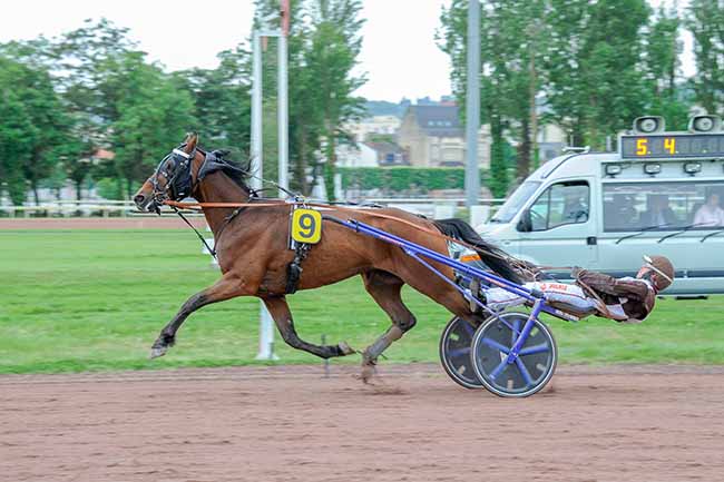 Photo d'arrivée de la course pmu PRIX DE FERRIERES-SUR-SICHON à VICHY le Lundi 5 mai 2025