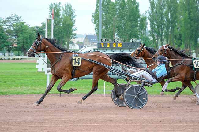 Photo d'arrivée de la course pmu PRIX DE SAINT-GERAND-DE-VAUX à VICHY le Lundi 5 mai 2025