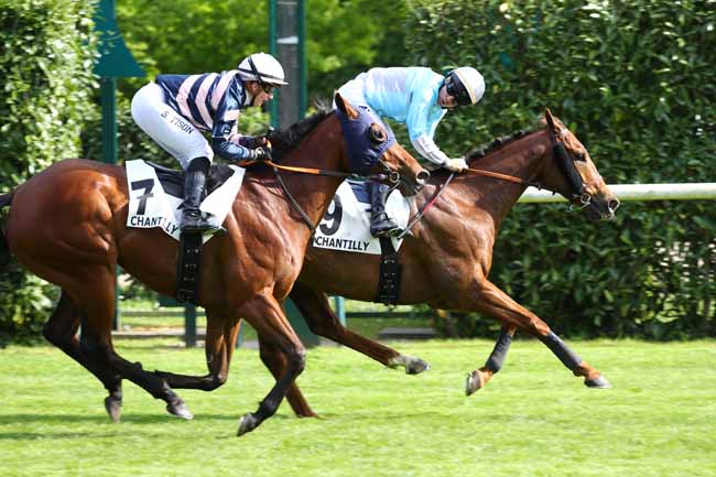Photo d'arrivée de la course pmu PRIX DES CHATAIGNIERS à CHANTILLY le Mardi 6 mai 2025