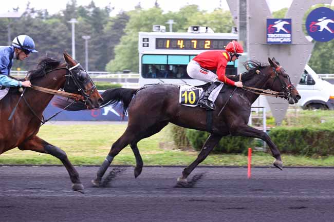 Photo d'arrivée de la course pmu PRIX NIOBE à PARIS-VINCENNES le Mardi 6 mai 2025