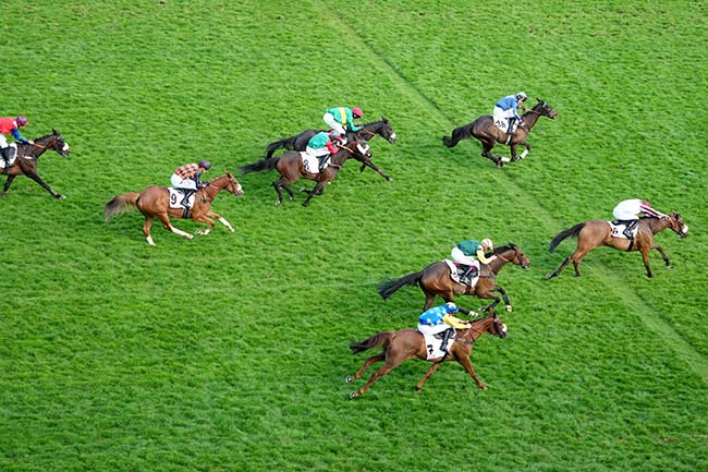 Photo d'arrivée de la course pmu PRIX RMC (PRIX TANERKO) à AUTEUIL le Dimanche 18 mai 2025